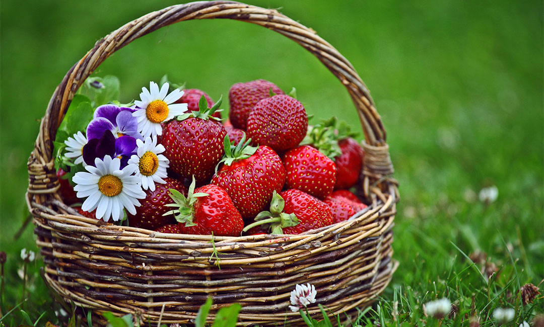 张家界点呀点水果电商APP开发案例